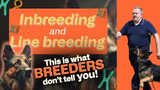 inbreeding and linebreeding explained [upl. by Atinob816]