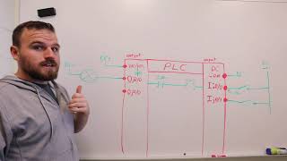 Allen Bradley PLC  Wiring Outputs [upl. by Inigo]