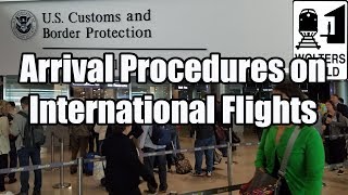 What is the Arrival Procedure on an International Flight [upl. by Tessil]