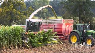 Ensilage de Sorgho fourrager avec une Ensileuse Claas Jaguar 890 [upl. by Oirottiv]