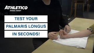 What is a Palmaris Longus [upl. by Legna]