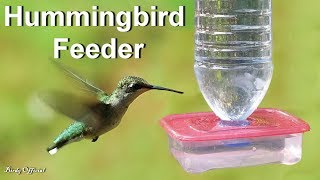 DIY Hummingbird Feeder Homemade  How To Make A Hummingbird Feeder From Plastic Bottle [upl. by Purdy]