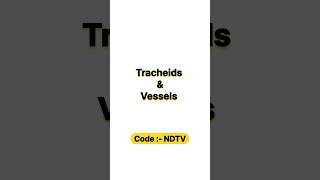 Tracheids amp Vessels in 15 Seconds 🌿 neet neet2025 botany biology aiims [upl. by Kalila444]