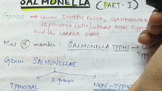 Salmonella  Part 1   Microbiology  Handwritten notes [upl. by Eba]