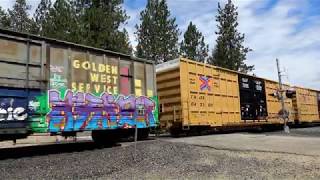 Colfax  Carpenter Road  Union Pacific Amtrak BNSF Action [upl. by Tanah30]