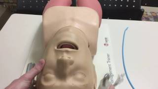 How to Intubate Manual Laryngoscopy [upl. by Ydniw]