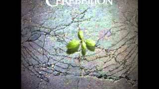 Cerebellion  Embrace the Imperfection Studio Version [upl. by Jayne]