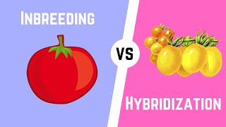 Hybridization vs Inbreeding [upl. by Eneryc]