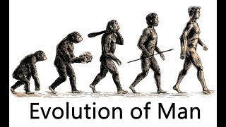 The Evolution of Man 7 million years ago  50000 years ago [upl. by Akeihsal45]