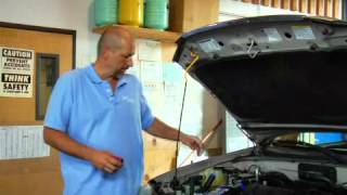 How to Check amp Add PowerSteering Fluid [upl. by Marduk]