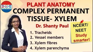 Xylem Complex permanent tissue [upl. by Kenzi886]