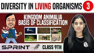 Diversity in Living Organisms 03  Kingdom Animalia  Basis of Classification  Class 9  NCERT [upl. by Ellevel]