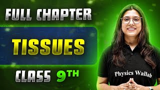 Tissues FULL CHAPTER  Class 9th Science  Chapter 6  Neev [upl. by Ynnek60]