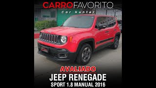 Nueva Jeep Renegade 2024 [upl. by Ryhpez584]