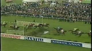 Abandoned Grand National 1993 BBC Highlights Horse Racing [upl. by Adiari]