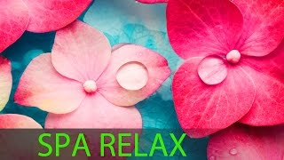 6 Hour Super Relaxing Spa Music Meditation Music Massage Music Relaxation Music Soothing ☯594 [upl. by Levitt]