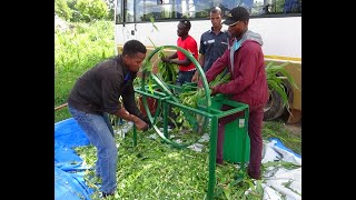 Affordable forage chopper for smallscale farmersBurkina Faso [upl. by Favianus351]