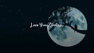 Love You Zindagi Whatsapp Status Full Screen Lyrics [upl. by Andee388]