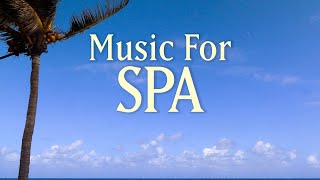 8 HOURS SPA MUSIC PLAYLIST  Healing Arts Massage amp Meditation  with Earth Resonance Frequency [upl. by Anemolihp]