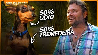 TUDO SOBRE A RAÇA PINSCHER  RICHARD RASMUSSEN [upl. by Cutcheon]