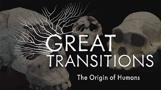 Great Transitions The Origin of Humans — HHMI BioInteractive Video [upl. by Caylor]