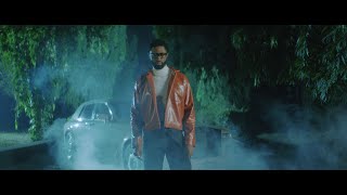 Ric Hassani  Thunder Fire You Official Video [upl. by Girovard]