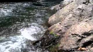 Prospecting For Gold on the Bear River at Colfax [upl. by Rodmur123]