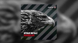 Birol Can  Anlayamaz Kimse Bu Aşkı  Official Audio  Esen Digital [upl. by Jacob791]