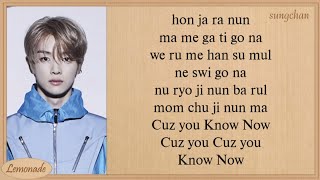 NCT U  Know Now Easy Lyrics [upl. by Eiclehc]