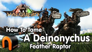 ARK How To Tame A Deinonychus Feathered Raptor NEW Valguero Dino [upl. by Dorolice]