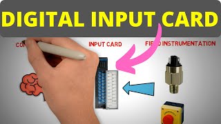 Digital Input Card  PLC Basics for Beginners  Part 3 [upl. by Aciraa649]