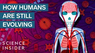 3 Surprising Ways Humans Are Still Evolving [upl. by Anahs808]