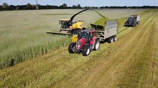 Ensilage de seigle 2021 en coupe directe 🌱 [upl. by Carl]