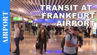 TRANSIT WALK AT FRANKFURT Airport FRA Terminal 1  Connection Flight Transfer Arriving amp Departing [upl. by Patty]