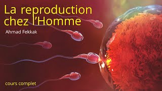 LA REPRODUCTION CHEZ LHOMME  2APIC prof Ahmed FEKKAK [upl. by Mayne]