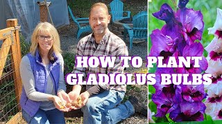 How to Plant Gladiolus Bulbs 🌿💚 [upl. by Stefan]