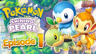 Pokemon Brilliant Diamond and Shining Pearl Gameplay Walkthrough Part 1  Sinnoh Region Piplup [upl. by Nevaed]